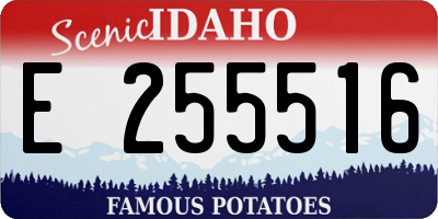 ID license plate E255516