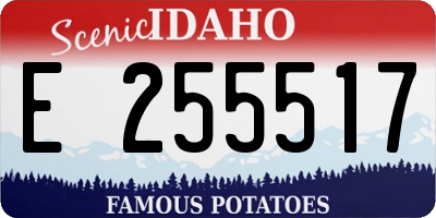 ID license plate E255517