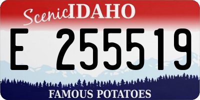 ID license plate E255519