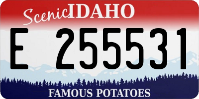 ID license plate E255531