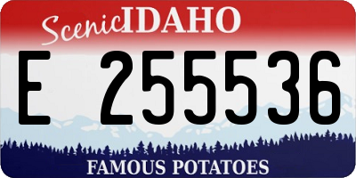 ID license plate E255536