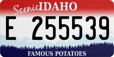 ID license plate E255539