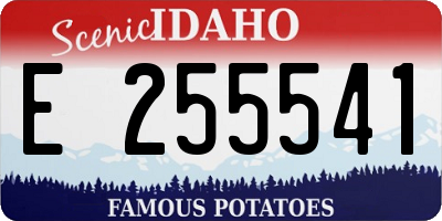 ID license plate E255541