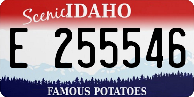 ID license plate E255546