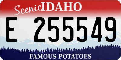 ID license plate E255549