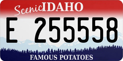 ID license plate E255558