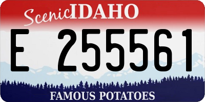 ID license plate E255561