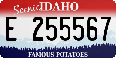ID license plate E255567