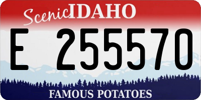 ID license plate E255570
