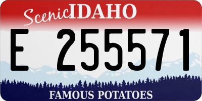 ID license plate E255571