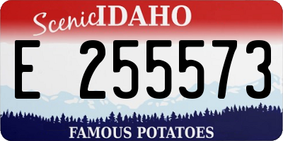 ID license plate E255573