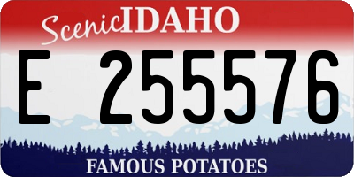 ID license plate E255576