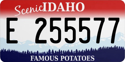 ID license plate E255577