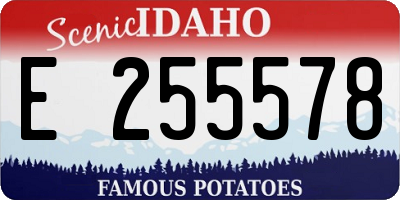 ID license plate E255578