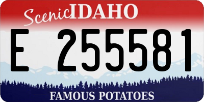 ID license plate E255581