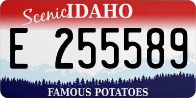ID license plate E255589