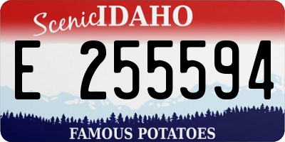 ID license plate E255594