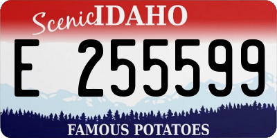 ID license plate E255599
