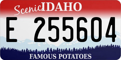 ID license plate E255604