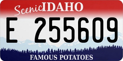 ID license plate E255609