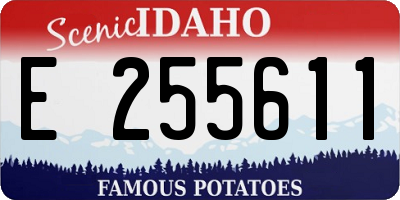 ID license plate E255611