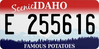 ID license plate E255616