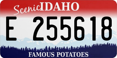 ID license plate E255618