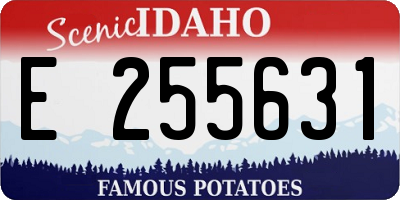 ID license plate E255631