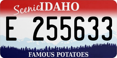 ID license plate E255633