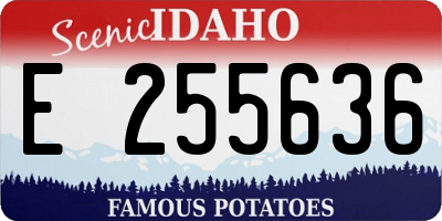ID license plate E255636