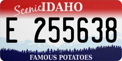 ID license plate E255638