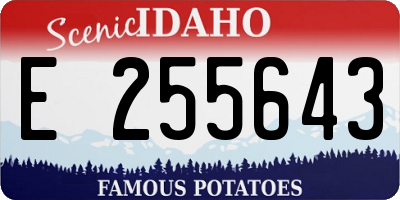 ID license plate E255643