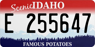 ID license plate E255647