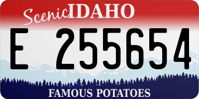 ID license plate E255654