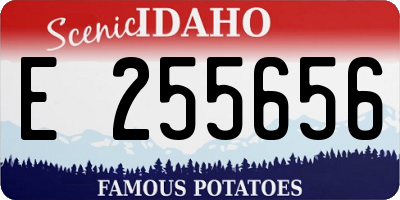 ID license plate E255656