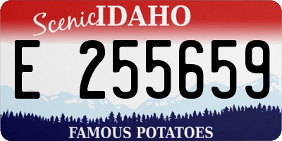 ID license plate E255659