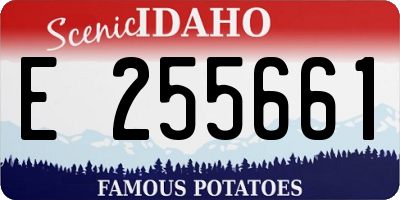 ID license plate E255661