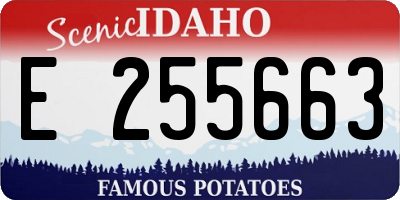ID license plate E255663
