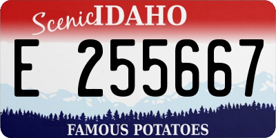 ID license plate E255667