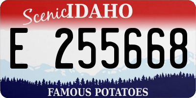 ID license plate E255668