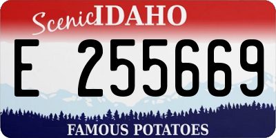 ID license plate E255669