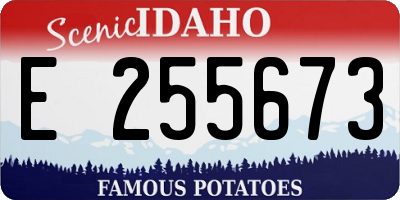ID license plate E255673