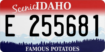 ID license plate E255681