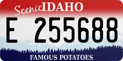 ID license plate E255688