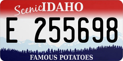 ID license plate E255698