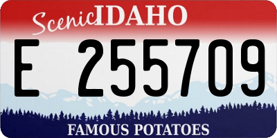 ID license plate E255709