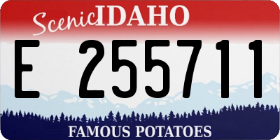 ID license plate E255711