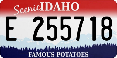 ID license plate E255718