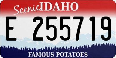 ID license plate E255719