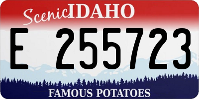 ID license plate E255723